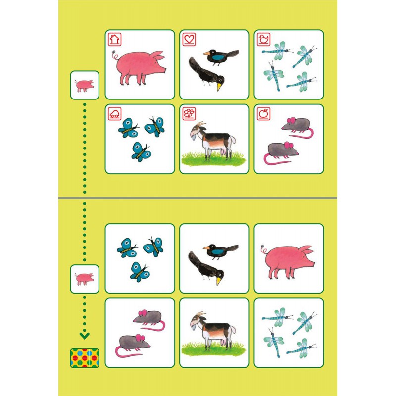 Loco Bambino - Pakket Kikker spelen en leren, Zwijsen spelenderwijs leren