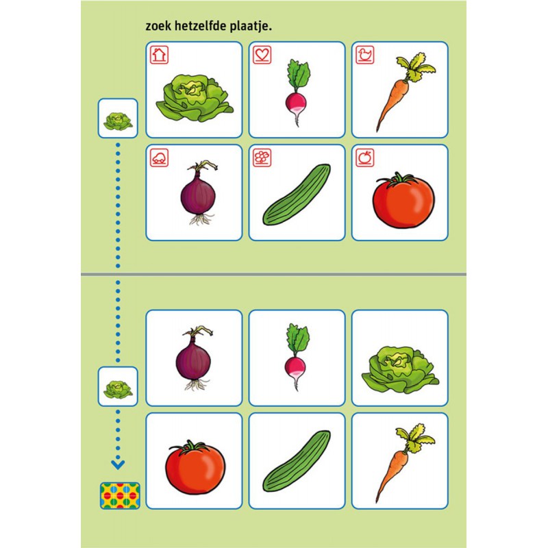Loco Bambino - Fien en Teun in de moestuin spelenderwijs leren boekje