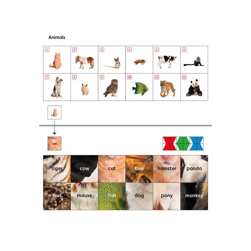 Loco Mini - Engels Zwijsen spelenderwijs leren