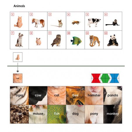Loco Mini - Engels Zwijsen spelenderwijs leren Loco Mini - Engels Zwijsen spelenderwijs leren