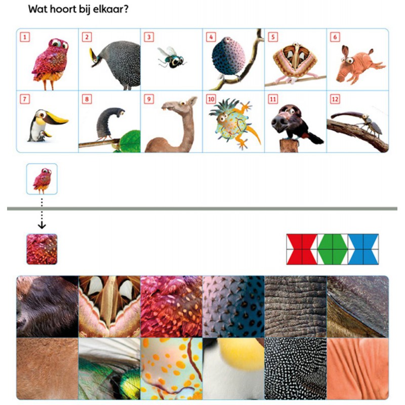 Loco Mini - Taalspelletjes, groep 4 / leerjaar 2 Zwijsen spelenderwijs leren