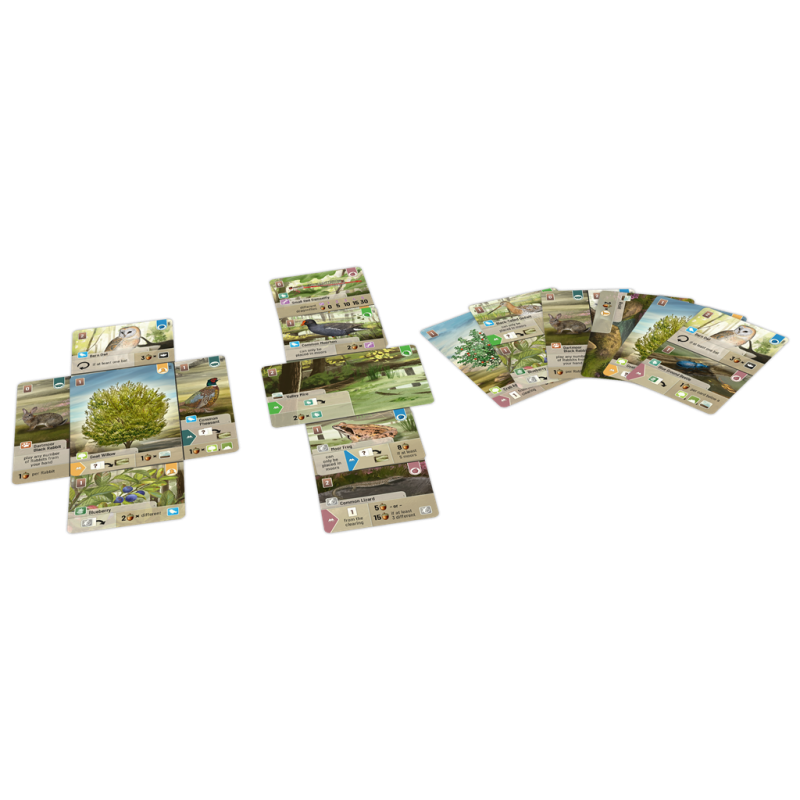 Forest shuffle- Dartmoor kaartspel Lookout Games