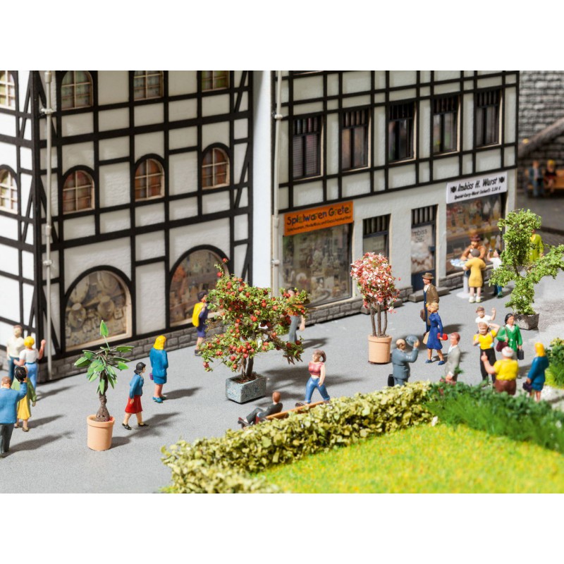 Planten in Bloembak, Noch, 14020