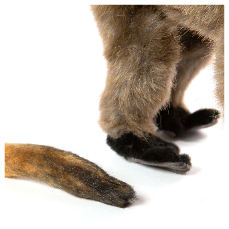 Roodbruine Keizertamarin, 22cm - Hansa Creation