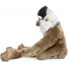 Gibbon aap, 40cm - Hansa Creation