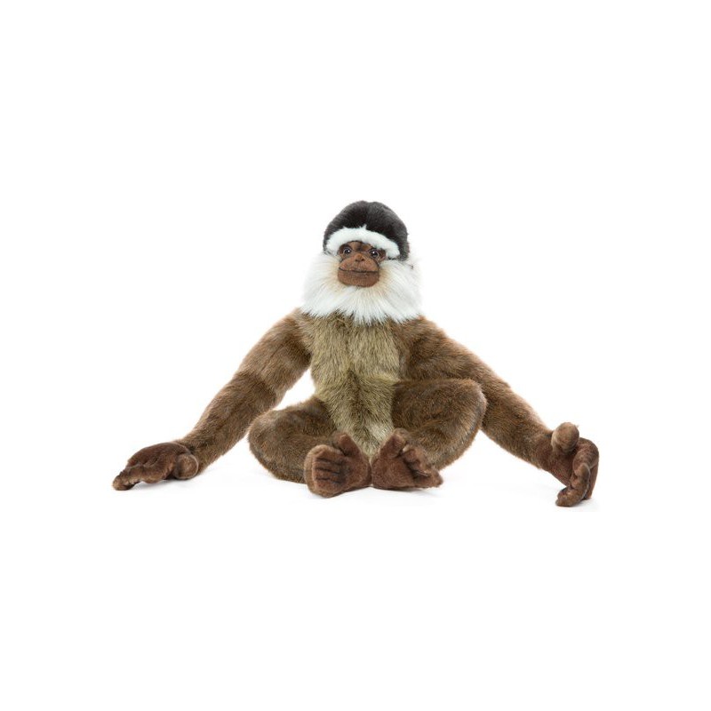 Gibbon aap, 40cm - Hansa Creation