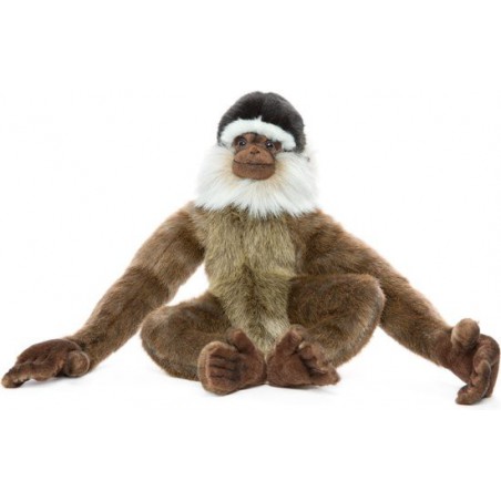 Gibbon aap, 40cm - Hansa Creation