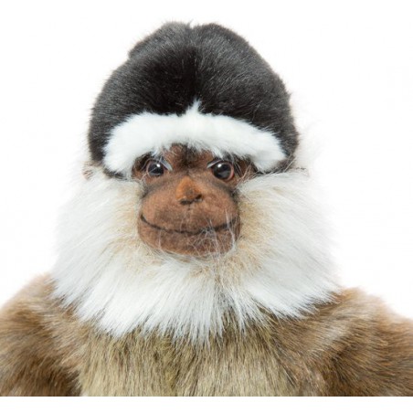 Gibbon aap, 40cm - Hansa Creation