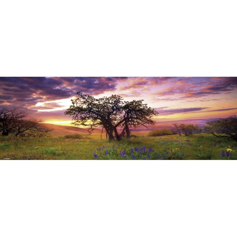 Oak Tree, Heye Puzzel 2000 stukjes