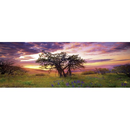Oak Tree, Heye Puzzel 2000 stukjes
