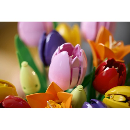 LEGO BOTANICALS - 11501 Tulpen bos