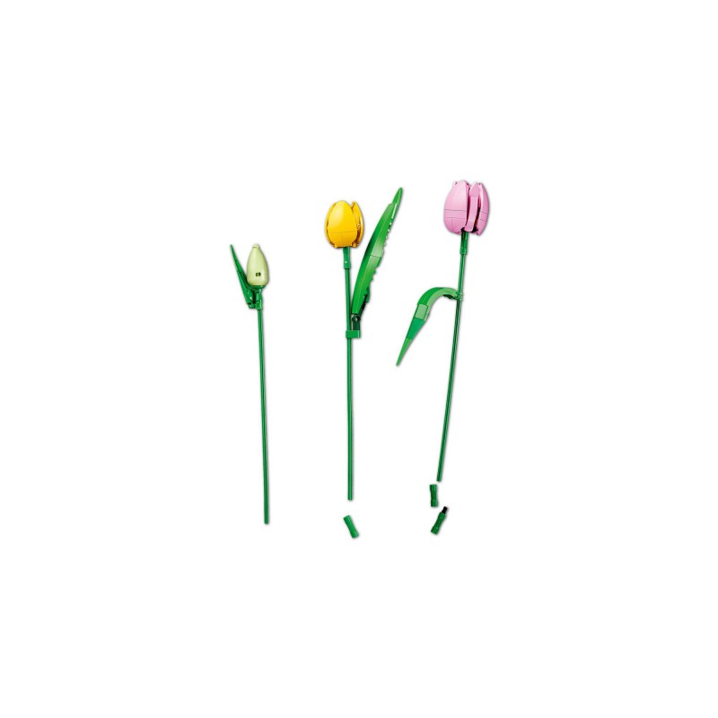 LEGO BOTANICALS - 11501 Tulpen bos