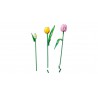 LEGO BOTANICALS - 11501 Tulpen bos