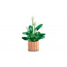 LEGO BOTANICALS - 11504 Lepelplant