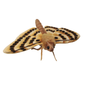 Beige Mot, 20 cm - Hansa Creation