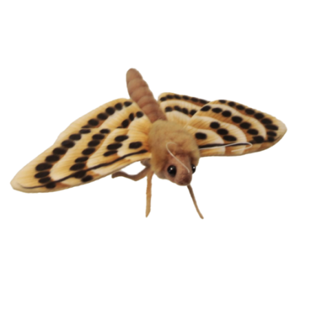 Beige Mot, 20 cm - Hansa Creation