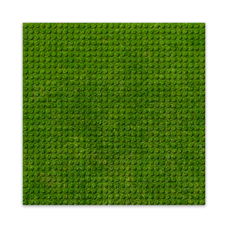 Brixies - Grondplaat Gras 32x32