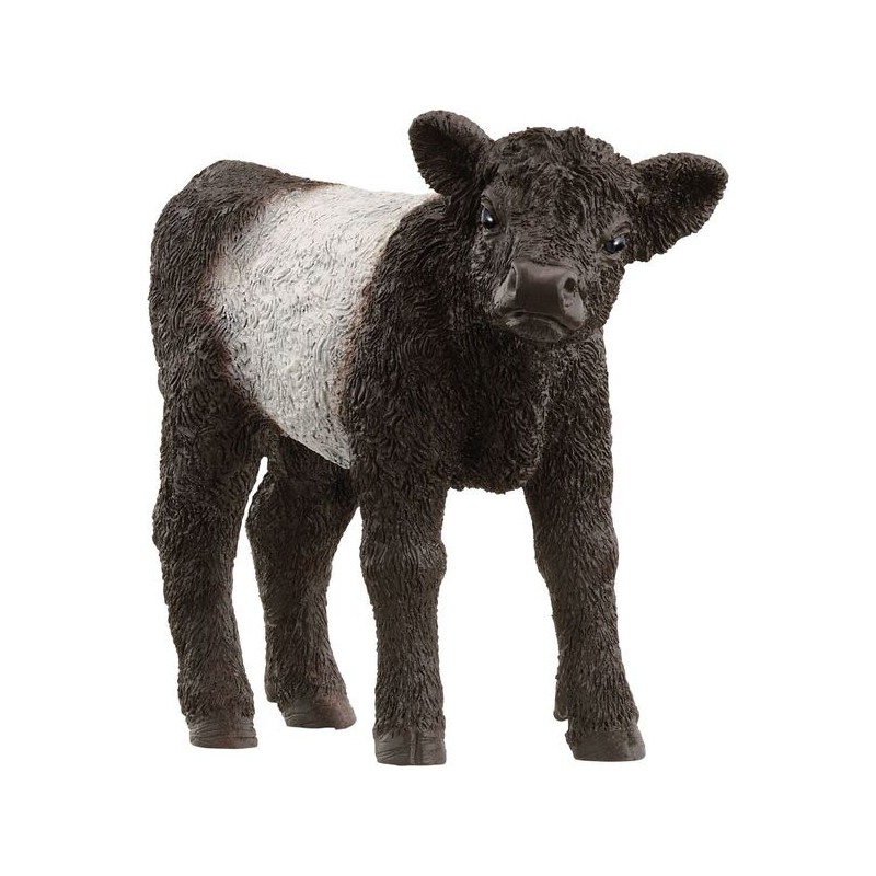 Schleich Galloway kalf, 13969