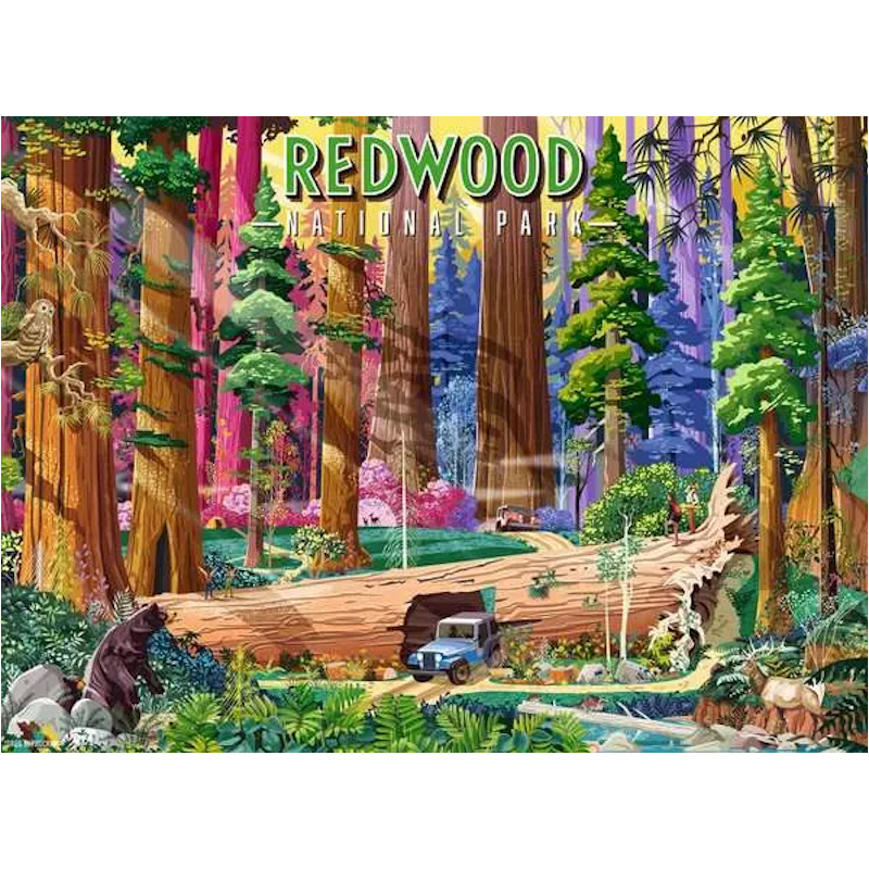 Redwood National Park, 500 stukjes Ravensburger