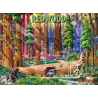 Redwood National Park, 500 stukjes Ravensburger