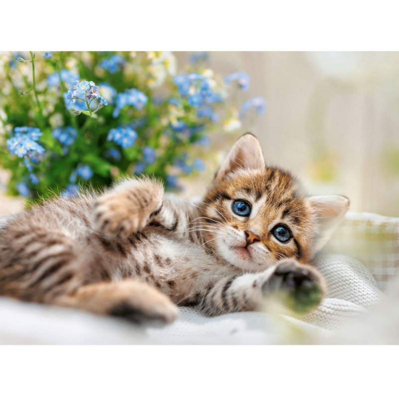 A bouquet of sweetness 500 stukjes Ravensburger