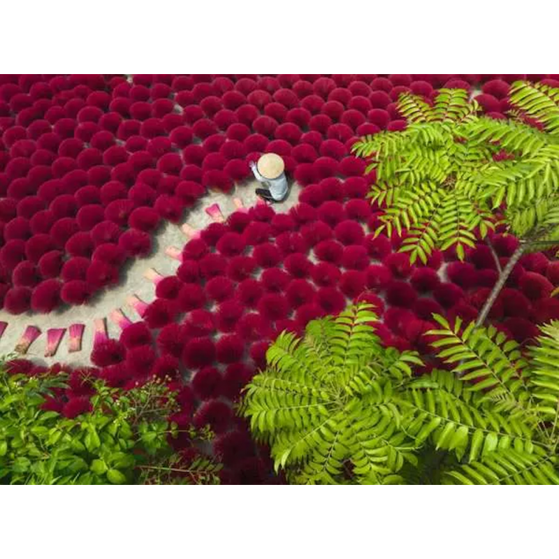 A sea of red 500 stukjes Ravensburger