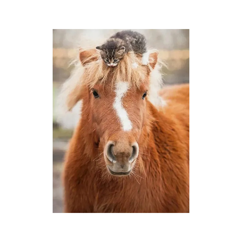 Pony and cat, 500 stukjes Ravensburger