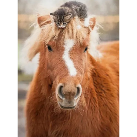 Pony and cat, 500 stukjes Ravensburger