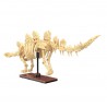 CaDA C59012W - Dinosaur Fossils: Stegosaurus - Creative Serie