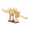 CaDA C59012W - Dinosaur Fossils: Stegosaurus - Creative Serie