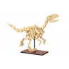 CaDA C59014W - Dinosaur Fossils: Velociraptor - Creative Serie