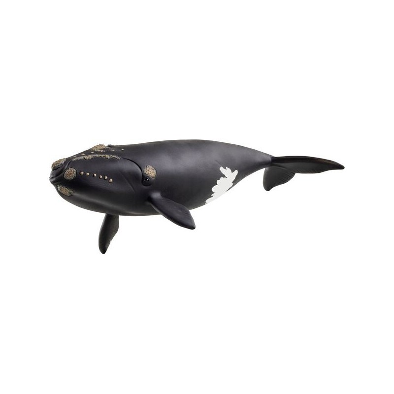 Schleich Noordkarper walvis, 14878