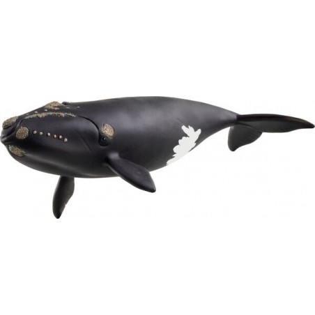 Schleich Noordkarper walvis, 14878