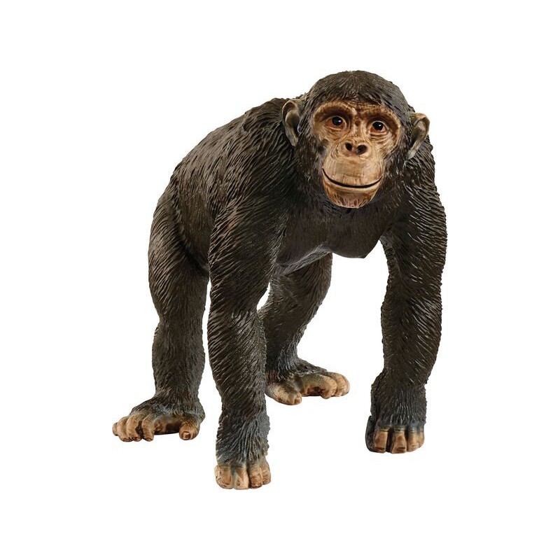 Schleich Chimpansee, 14883