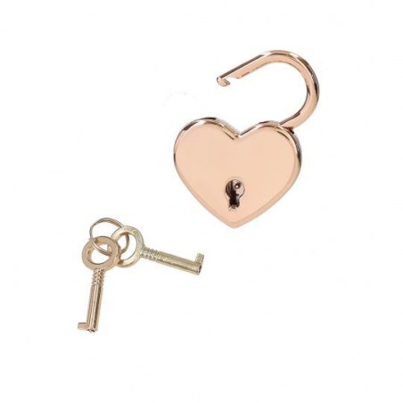 TOPModel dagboek met geheime pen 13216