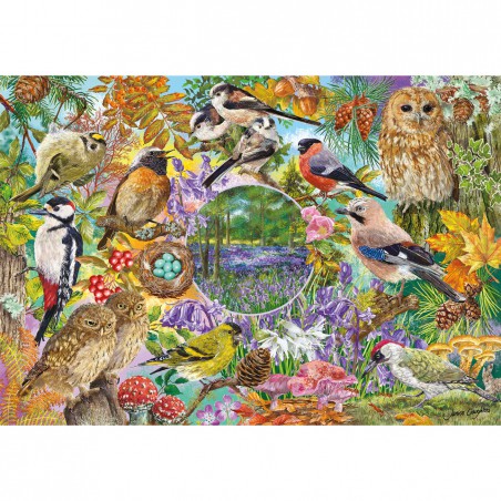 Wings in the Wild (4 x 500 stukjes puzzel)