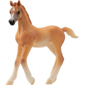 Schleich Arabisch veulen, 13984
