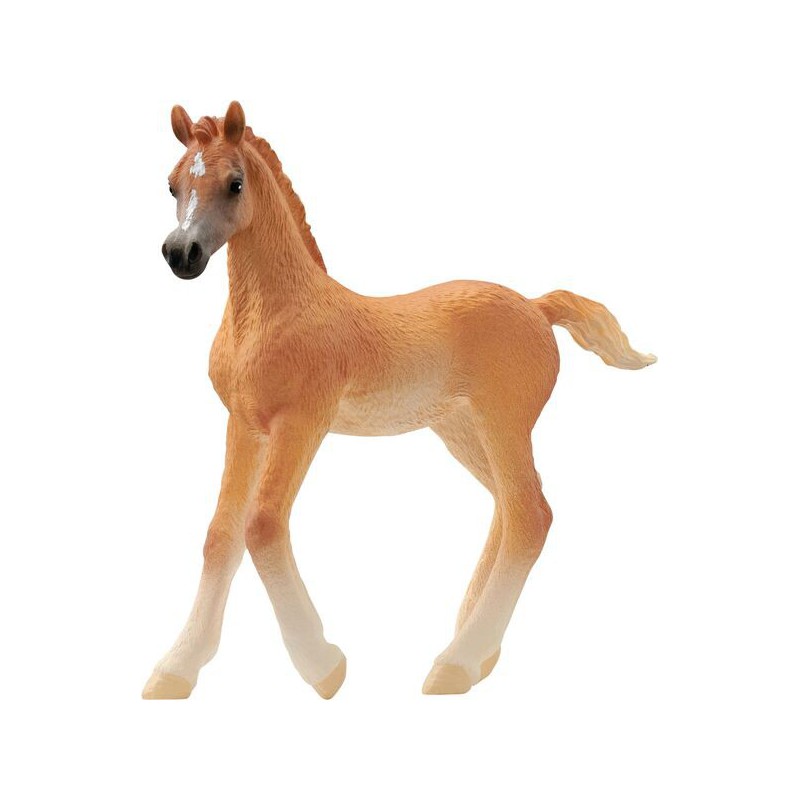 Schleich Arabisch veulen, 13984