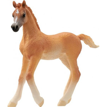 Schleich Arabisch veulen, 13984