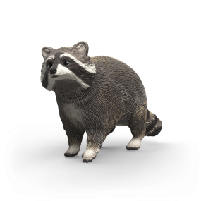 Schleich Wasbeer, 14937