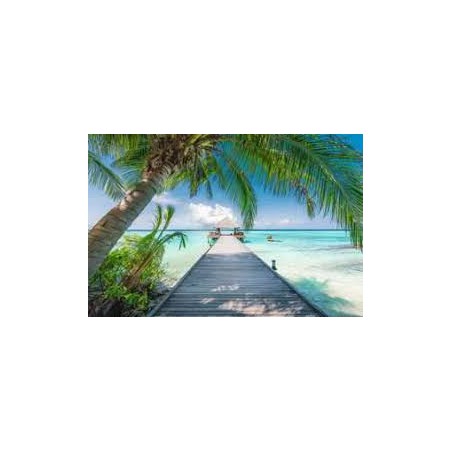 Dream beach on the Maladives 4000st Ravensburger.