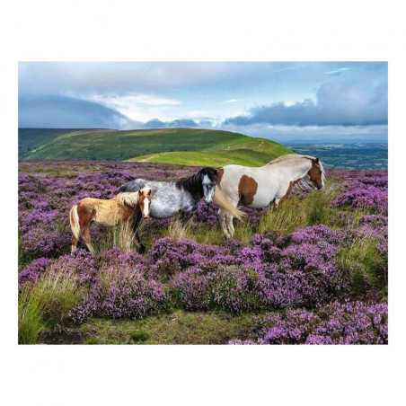 Wild horses in the heather, ravensburger 2000stukjes