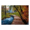 1000stukjes puzzel Ravensburger Autumnal wood trail