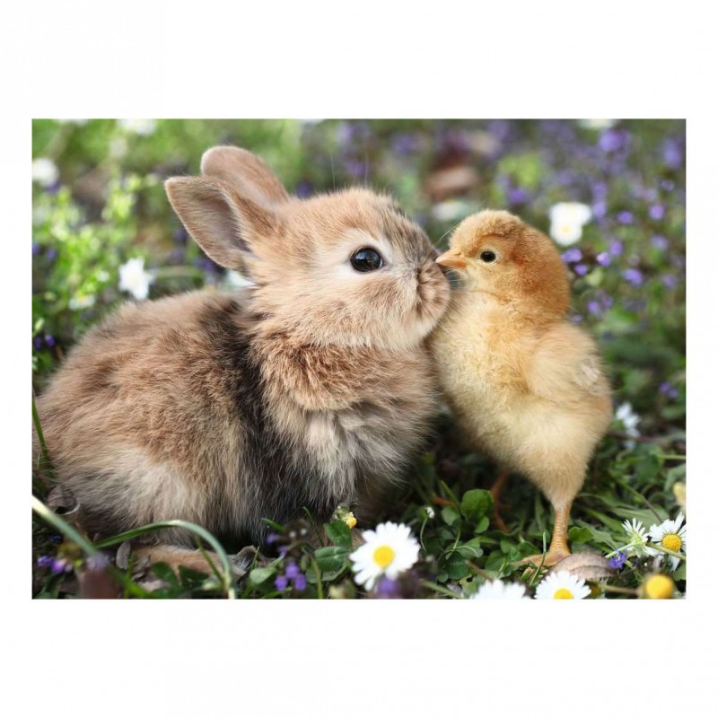 Rabbit and Chick 500 stukjes Ravensburger