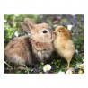 Rabbit and Chick 500 stukjes Ravensburger
