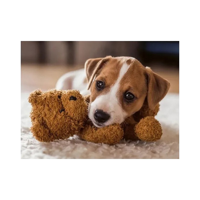 Cuddly buddies 500 stukjes Ravensburger