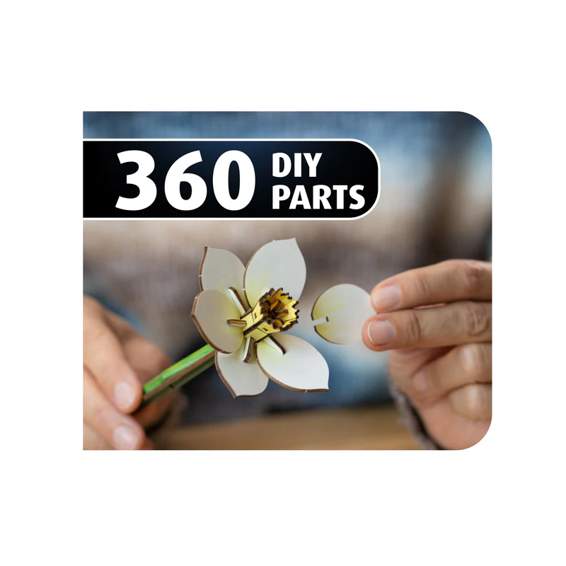 Blossom Festival, Houtbouw, Revell 00630