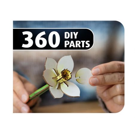 Blossom Festival, Houtbouw, Revell 00630