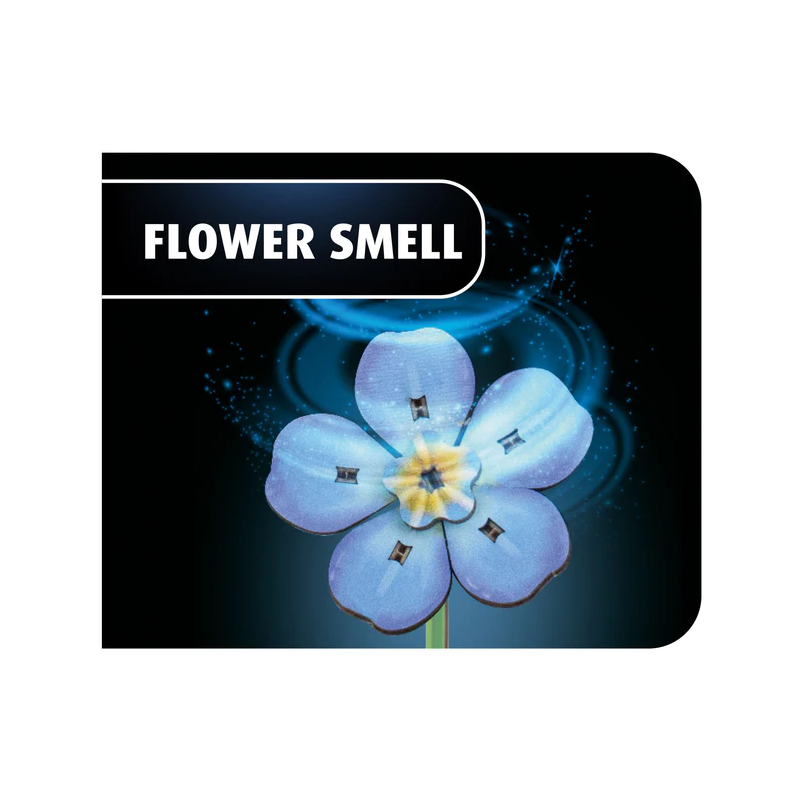 Blossom Festival, Houtbouw, Revell 00630