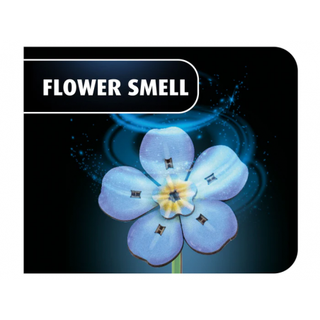 Blossom Festival, Houtbouw, Revell 00630